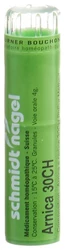 schmidt-nagel Arnica Granulat 30 CH