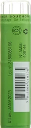 schmidt-nagel Nux vomica Granulat 9 CH