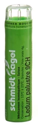 schmidt-nagel Ledum palustre Granulat 9 CH