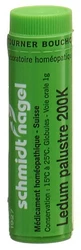 schmidt-nagel Ledum palustre Globuli 200 K