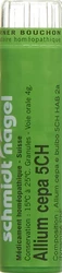schmidt-nagel Allium cepa Granulat 5 CH