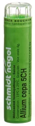 schmidt-nagel Allium cepa Granulat 5 CH