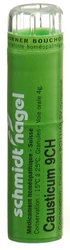 schmidt-nagel Causticum Granulat 9 CH