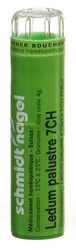 schmidt-nagel Ledum palustre Granulat 7 CH