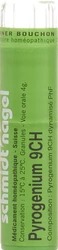 schmidt-nagel Pyrogenium Granulat 9 CH