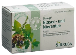 Sidroga Blasen- und Nierentee