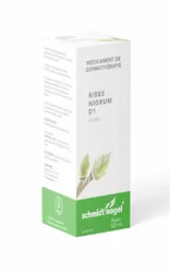 schmidt-nagel Ribes nigrum BG Glyc Maz 1 DH