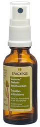 Spagyros Gelenkbeschwerden Mundspray