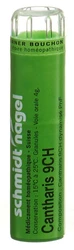 schmidt-nagel Cantharis Granulat 9 CH