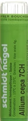 schmidt-nagel Allium cepa Granulat 7 CH