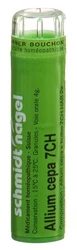 schmidt-nagel Allium cepa Granulat 7 CH