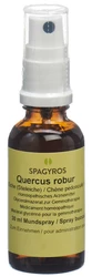 Spagyros Quercus robur Glyc Maz 1 D