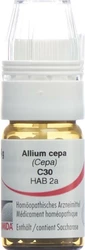 Omida Allium cepa Globuli 30 C mit Dosierhilfe