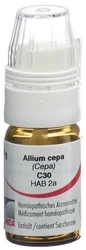 Omida Allium cepa Globuli 30 C mit Dosierhilfe