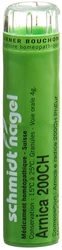 schmidt-nagel Arnica Granulat 200 CH