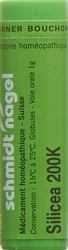 schmidt-nagel Silicea Globuli 200 K