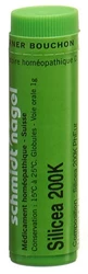 schmidt-nagel Silicea Globuli 200 K