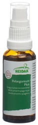 HEIDAK Pelargonium plus Spray