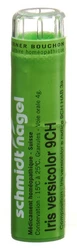 schmidt-nagel Iris versicolor Granulat 9 CH