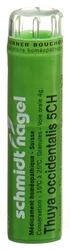 schmidt-nagel Thuya occidentalis Granulat 5 CH
