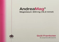 AndreaMag 300 mg mit Himbeeraroma