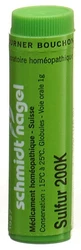 schmidt-nagel Sulfur Globuli 200 K