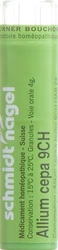 schmidt-nagel Allium cepa Granulat 9 CH