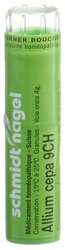 schmidt-nagel Allium cepa Granulat 9 CH