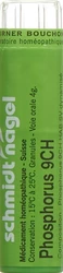 schmidt-nagel Phosphorus Granulat 9 CH