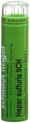 schmidt-nagel Hepar sulfuris Granulat 9 CH