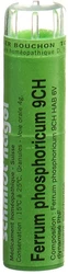 schmidt-nagel Ferrum phosphoricum Granulat 9 CH
