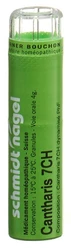 schmidt-nagel Cantharis Granulat 7 CH