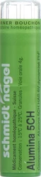 schmidt-nagel Alumina Granulat 5 CH