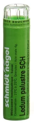 schmidt-nagel ledum palustre gran 5 CH