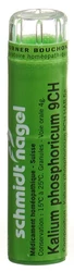 schmidt-nagel Kalium phosphoricum Granulat 9 CH