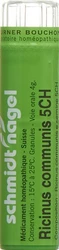 schmidt-nagel Ricinus communis Granulat 5 CH