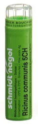 schmidt-nagel Ricinus communis Granulat 5 CH