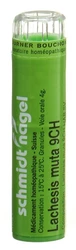 schmidt-nagel Lachesis muta Granulat 9 CH