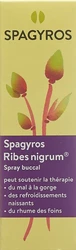Spagyros Ribes nigrum Mundspray 1 D