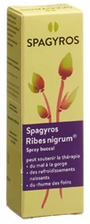 Spagyros Ribes nigrum Mundspray 1 D