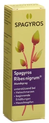 Spagyros Ribes nigrum Mundspray 1 D