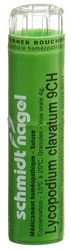 schmidt-nagel Lycopodium clavatum Granulat 9 CH