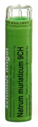 schmidt-nagel Natrum muriaticum Granulat 9 CH