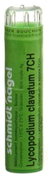 schmidt-nagel Lycopodium clavatum Granulat 7 CH
