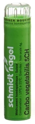 schmidt-nagel Carbo vegetabilis Granulat 5 CH
