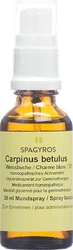 Spagyros Carpinus betulus Glyc Maz 1 D