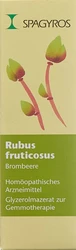 Spagyros Rubus fruticosus Glyc Maz 1 D