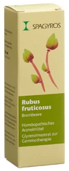 Spagyros Rubus fruticosus Glyc Maz 1 D