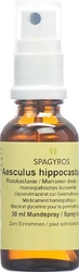 Spagyros Aesculus hippocastanum Glyc Maz 1 D