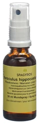 Spagyros Aesculus hippocastanum Glyc Maz 1 D